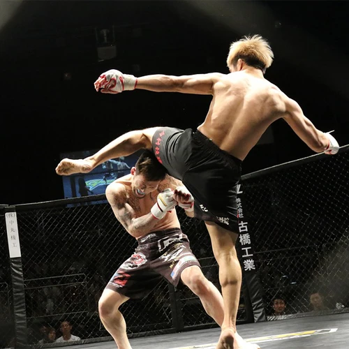 Mixed martial arts